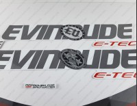 Evinrude 115HP E-tec V4 2015 White Cowl Outboard Decal Kit